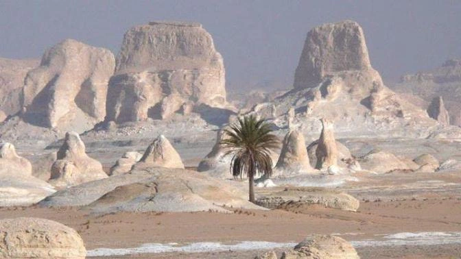 Egypt Travel Booking